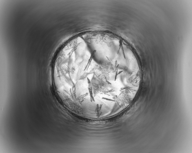 X0000095691171200802051306