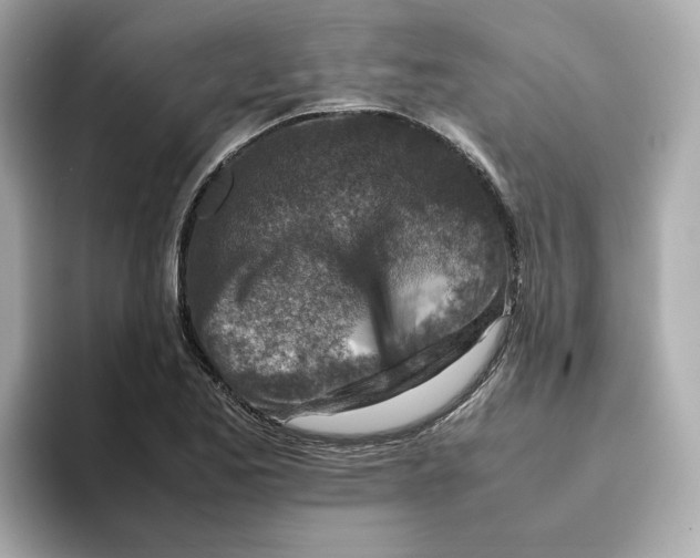 X0000095691173200802051306