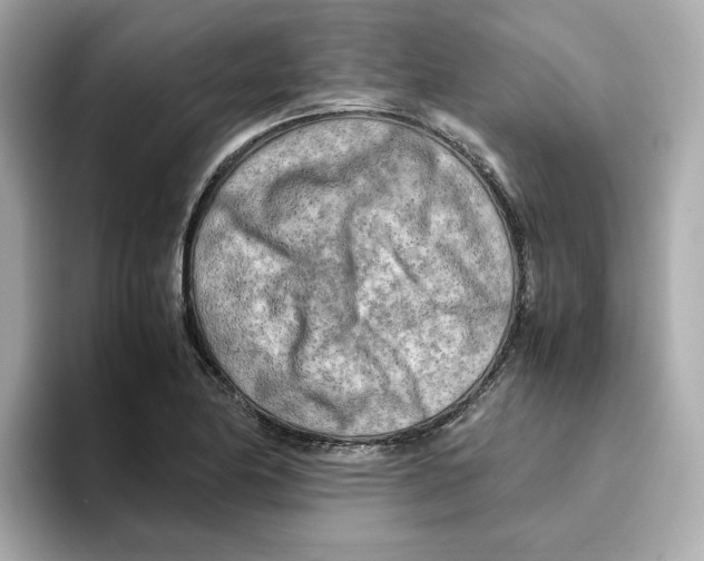 X0000095691174200802051306