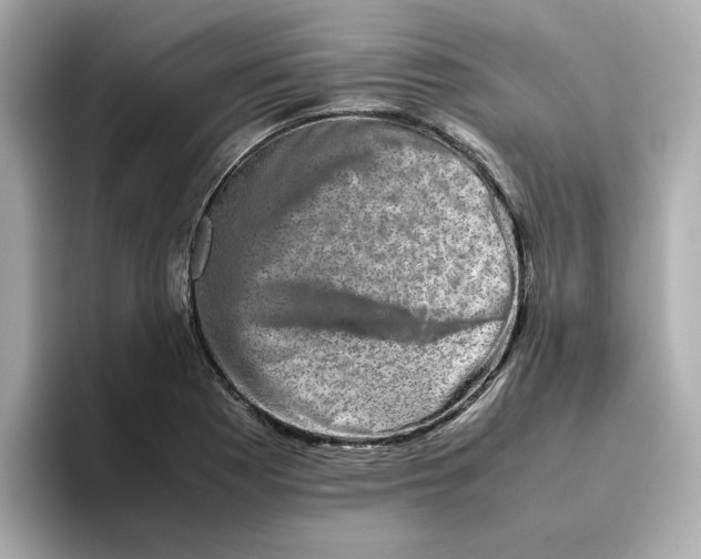 X0000095691177200802051306