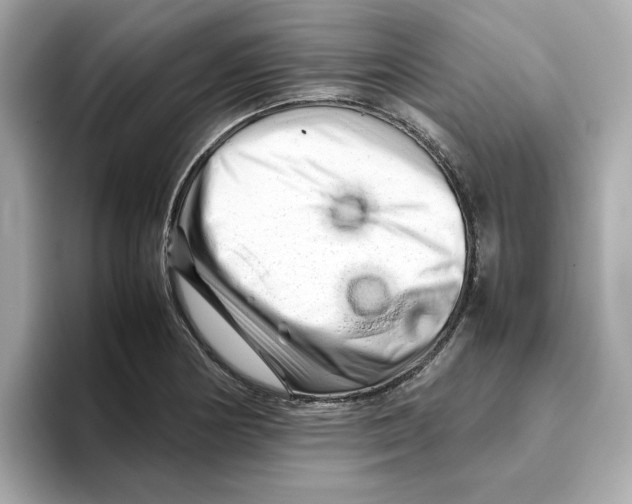X0000095691178200802051306