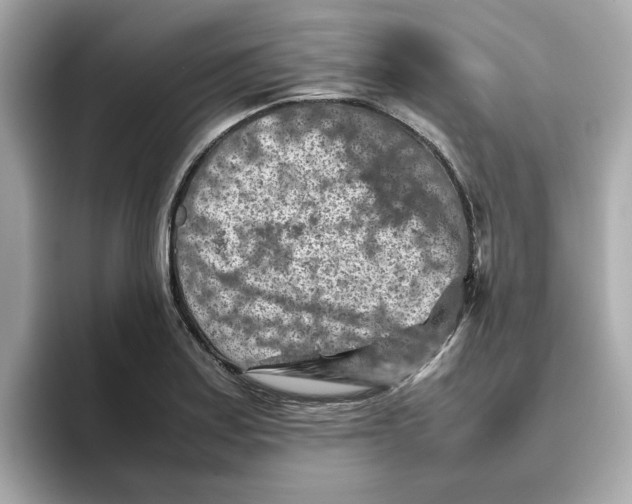 X0000095691179200802051306