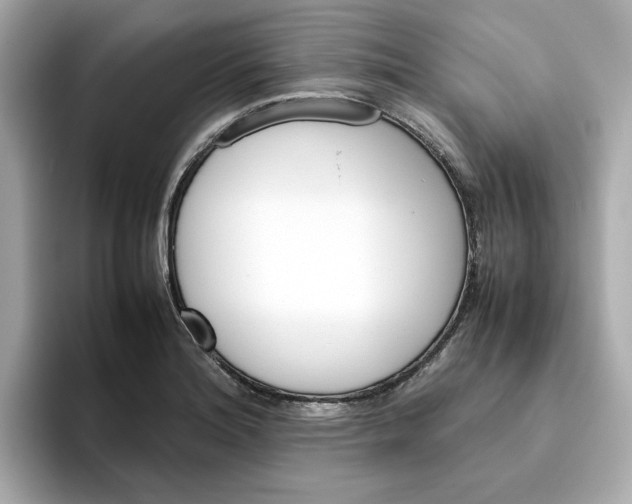 X0000095691180200802051306