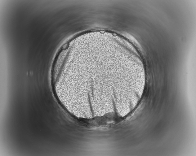 X0000095691183200802051306
