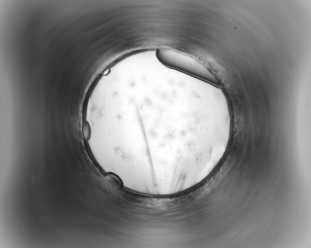 X0000095691184200802051306