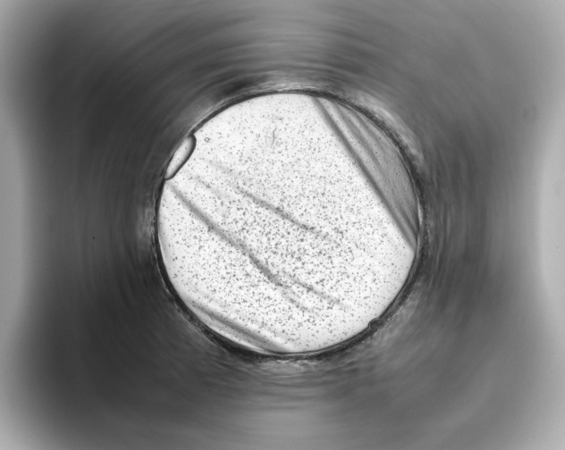X0000095691185200802051306