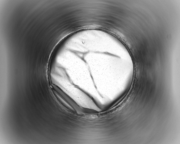 X0000095691186200802051306