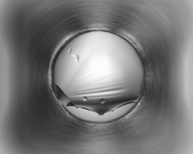 X0000095691188200802051306