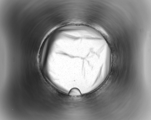 X0000095691190200802051306