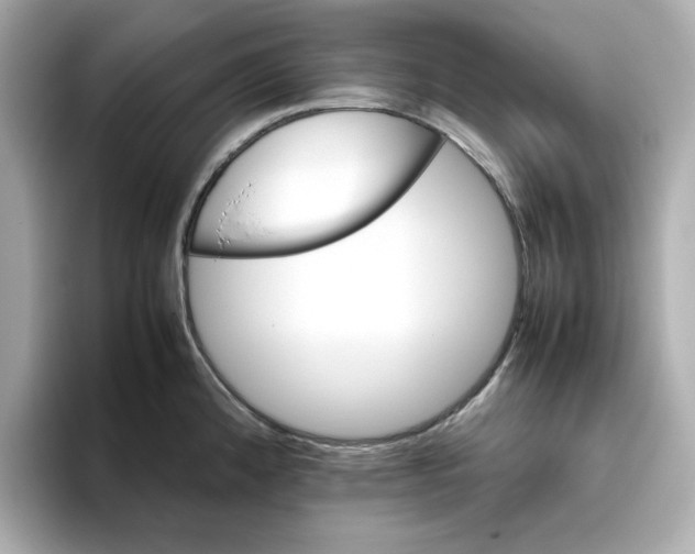 X0000095691192200802051306