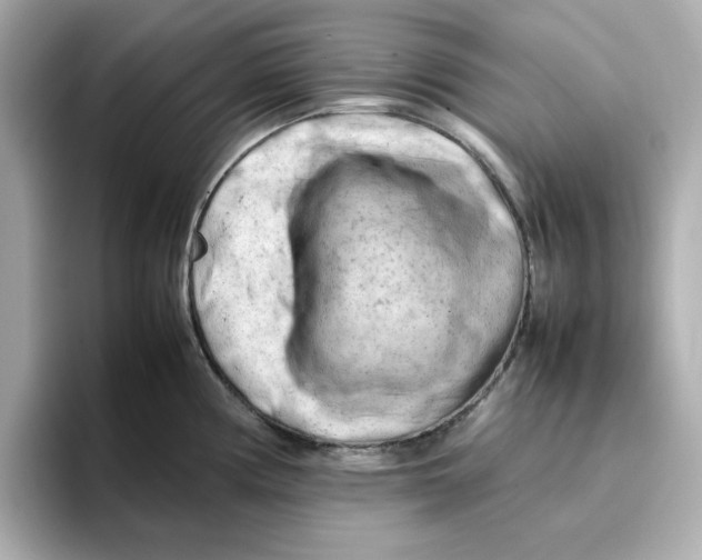 X0000095691194200802051306