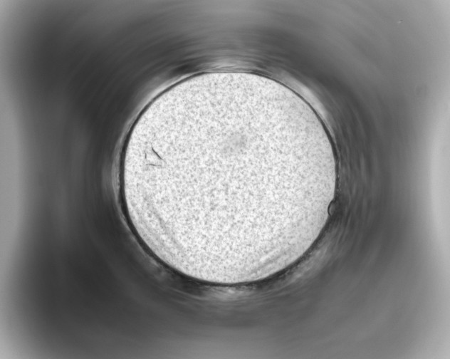 X0000095691195200802051306