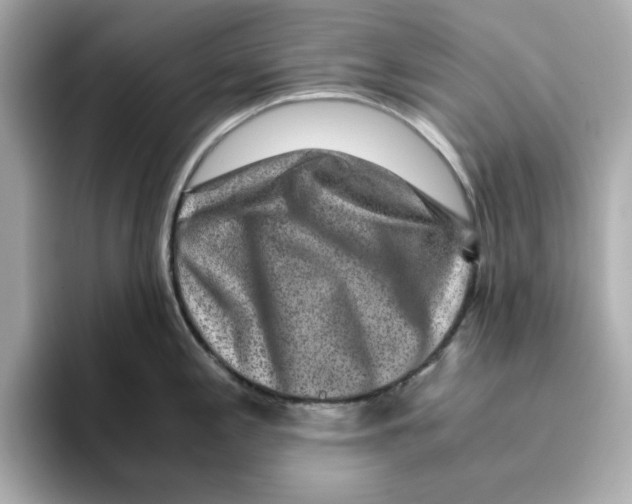X0000095691197200802051306