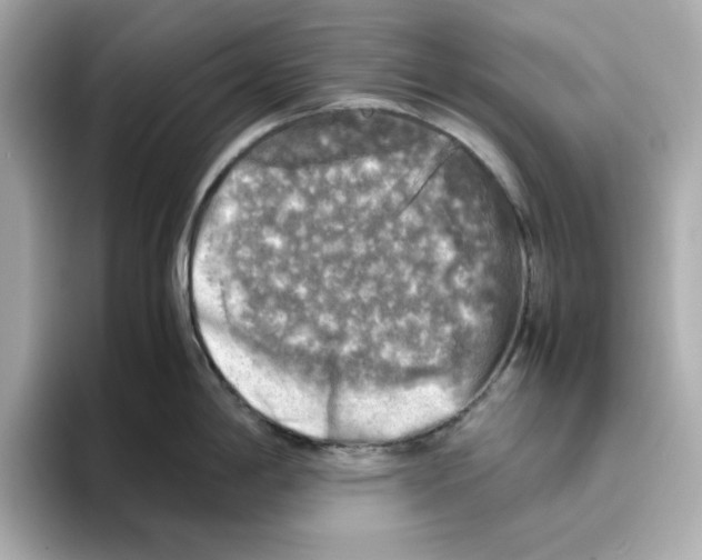 X0000095691198200802051306
