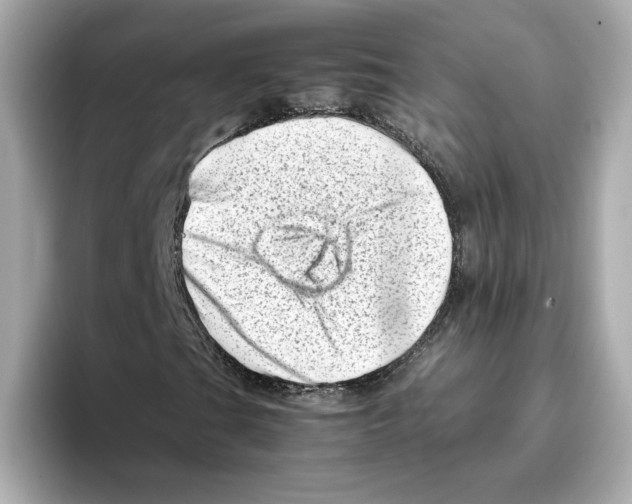X0000095691201200802051305