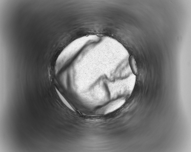 X0000095691202200802051305