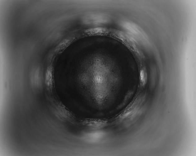 X0000095691203200802051305
