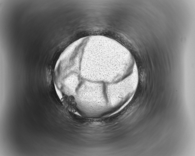 X0000095691204200802051305