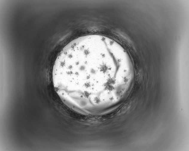 X0000095691205200802051305