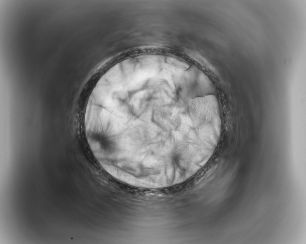 X0000095691208200802051305