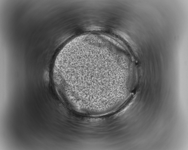 X0000095691209200802051305