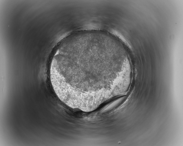 X0000095691213200802051305