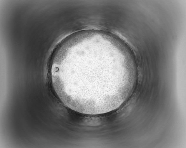 X0000095691215200802051305
