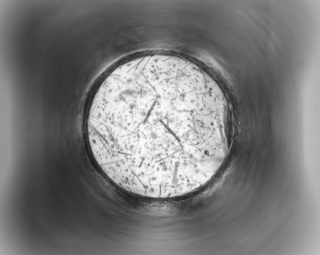 X0000095691216200802051305