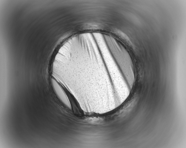 X0000095691218200802051305