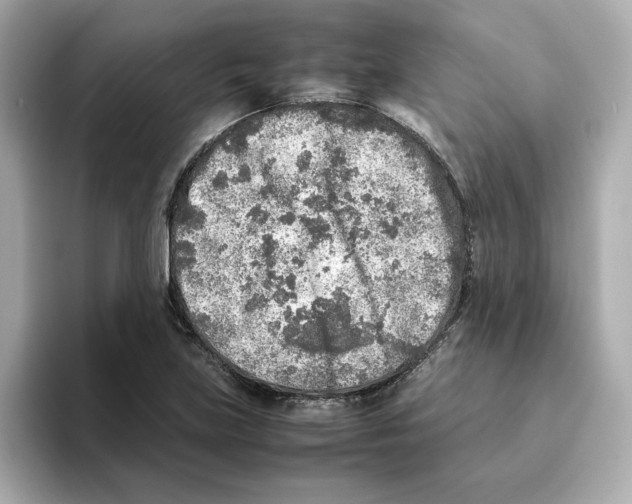 X0000095691219200802051305