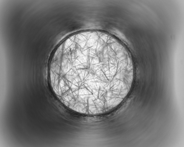 X0000095691220200802051305