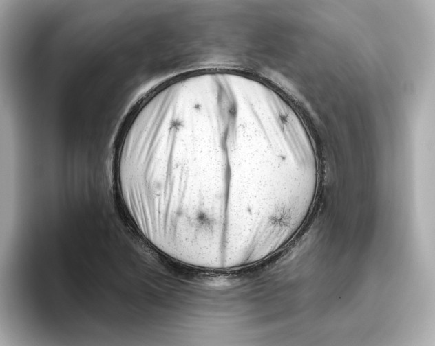 X0000095691222200802051305
