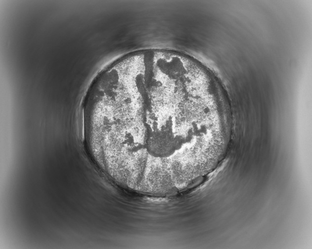 X0000095691223200802051306