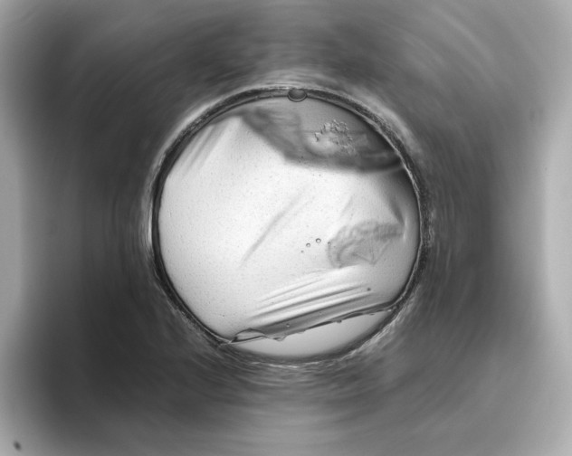 X0000095691224200802051306