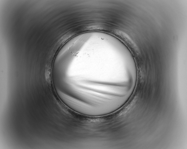 X0000095691225200802051306