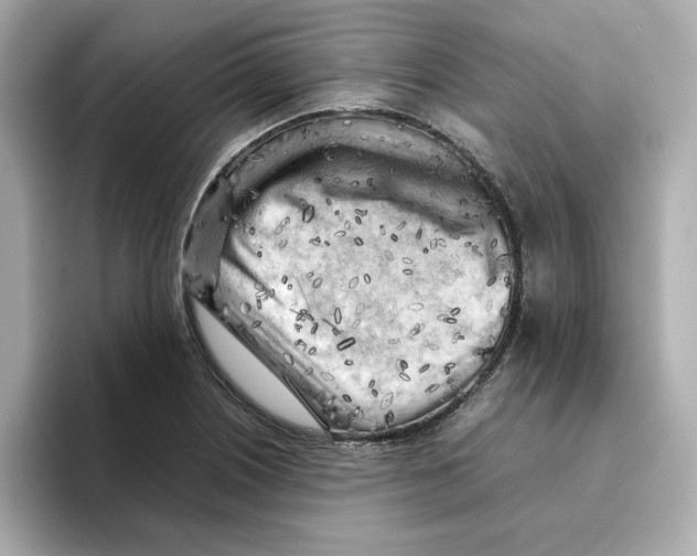 X0000095691226200802051306