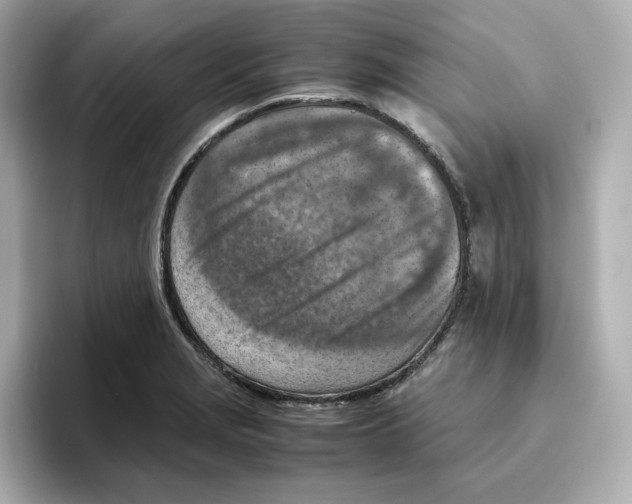 X0000095691229200802051306
