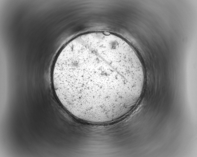 X0000095691230200802051306