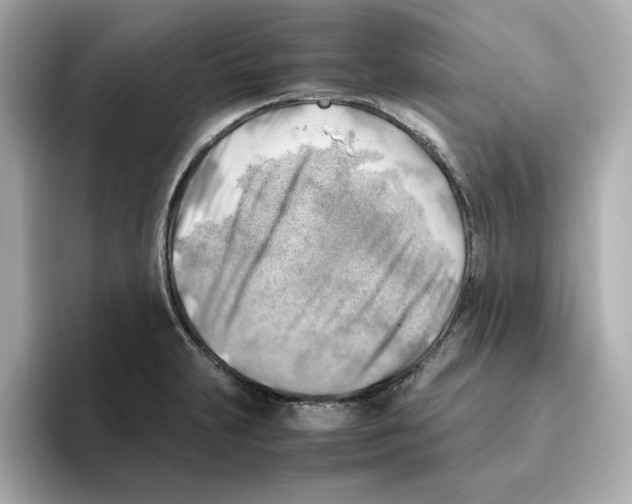 X0000095691231200802051306