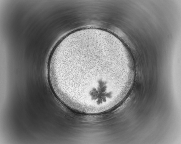 X0000095691232200802051306