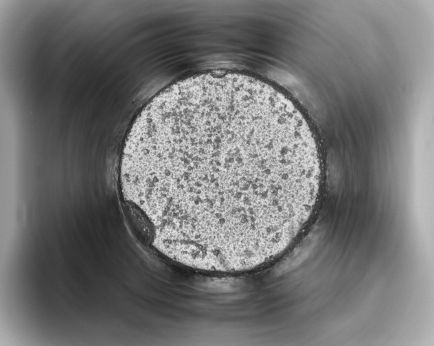 X0000095691233200802051306