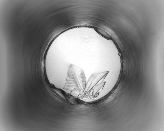 X0000095691234200802051306
