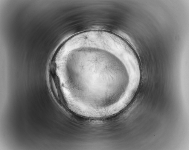 X0000095691235200802051306