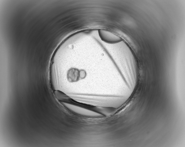 X0000095691236200802051306