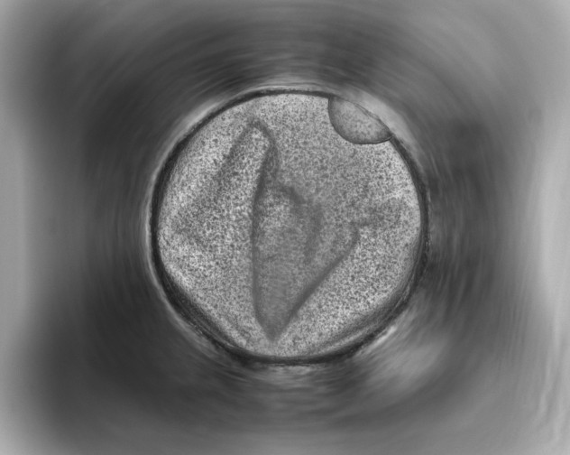 X0000095691237200802051306