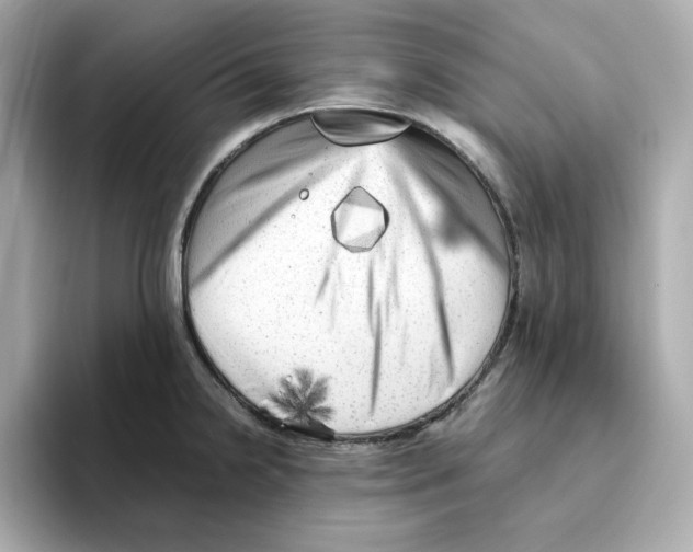X0000095691238200802051306