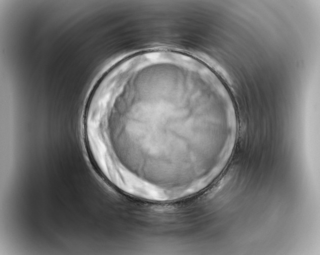 X0000095691239200802051306
