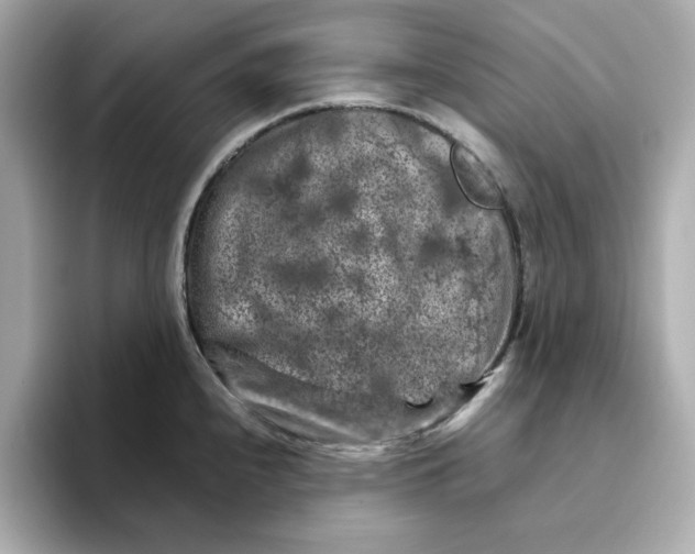 X0000095691240200802051306