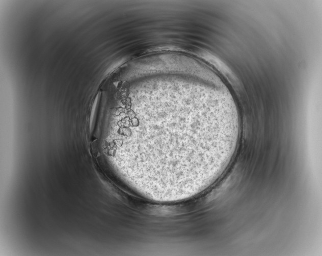 X0000095691241200802051306