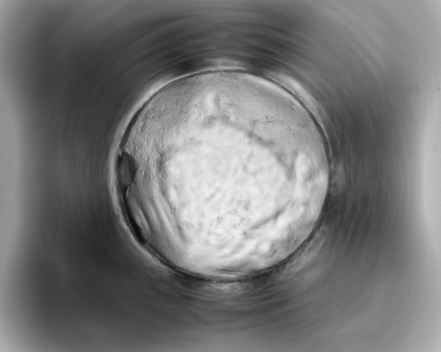 X0000095691243200802051306